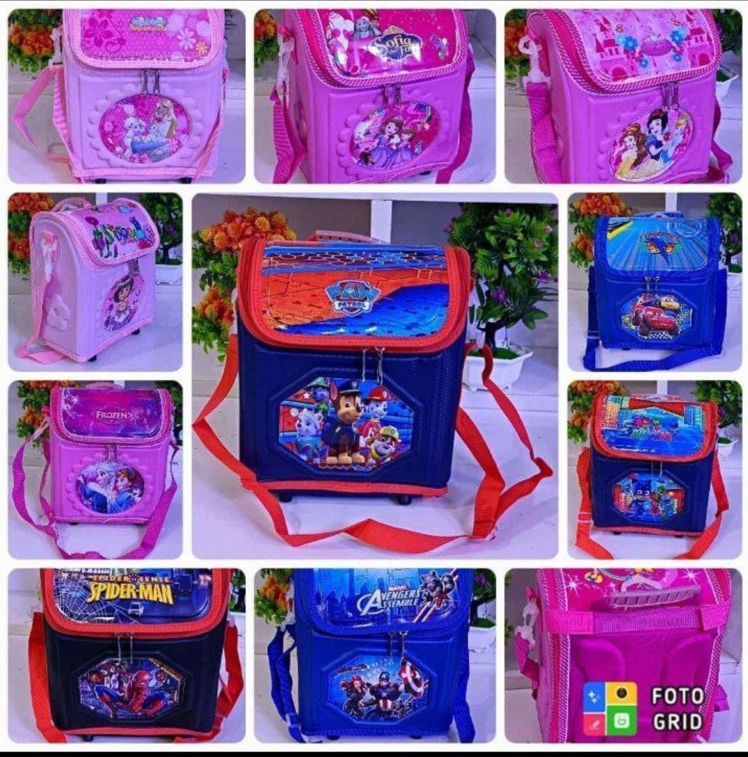 Character Foldable Lunch/School Bag