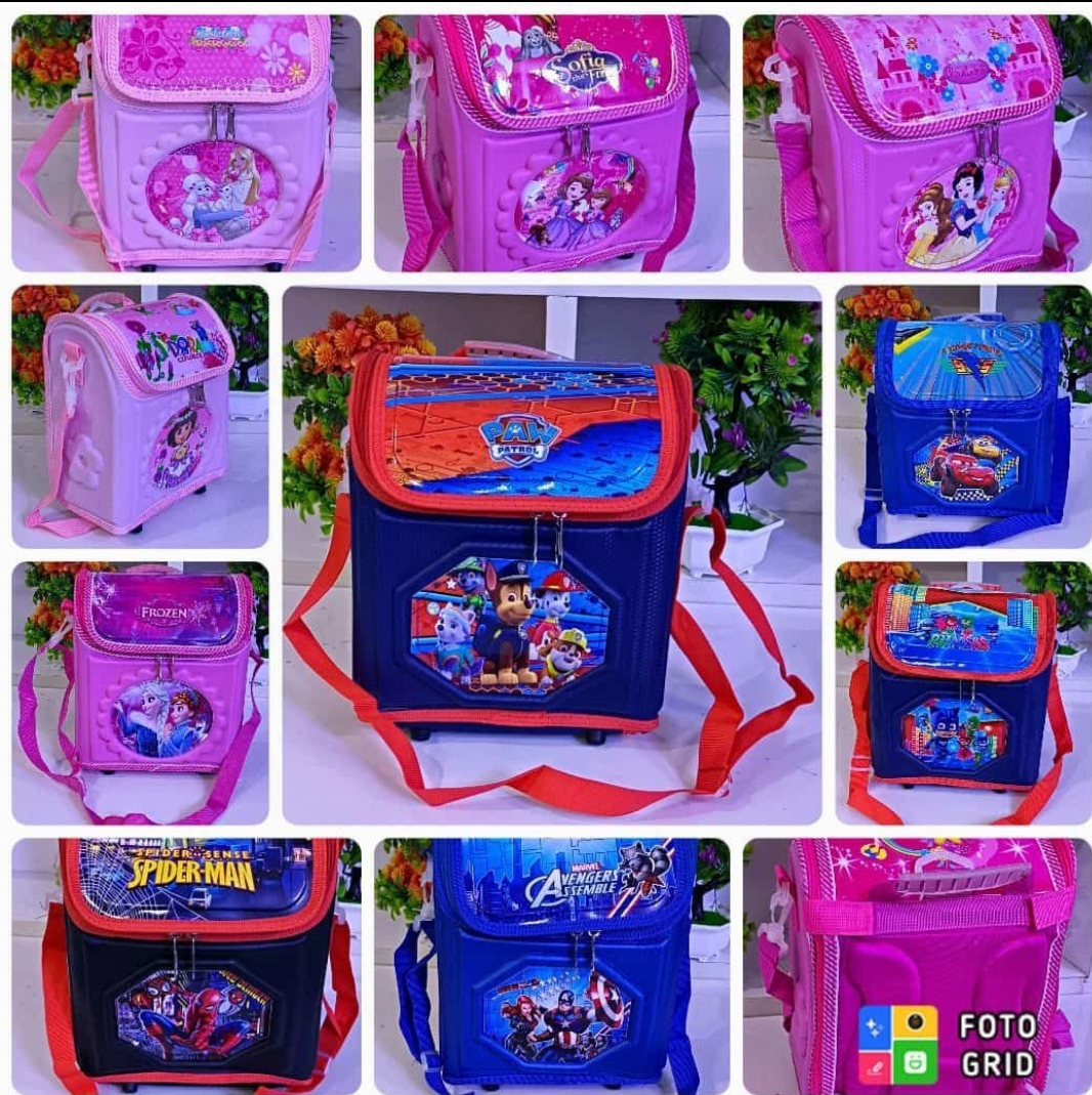 Character Foldable Lunch Bag/School Bag